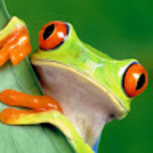 Meet your Posher, Sondra